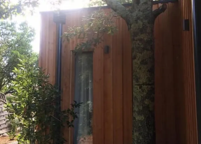 Villa Andernos Andernos-les-Bains